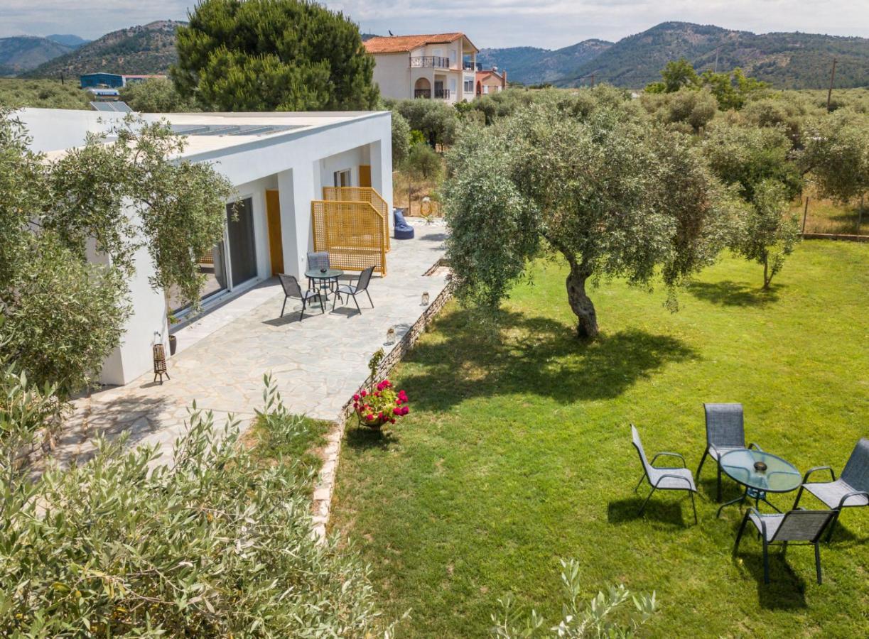 Avgoustidis Apartments Limenaria  Extérieur photo