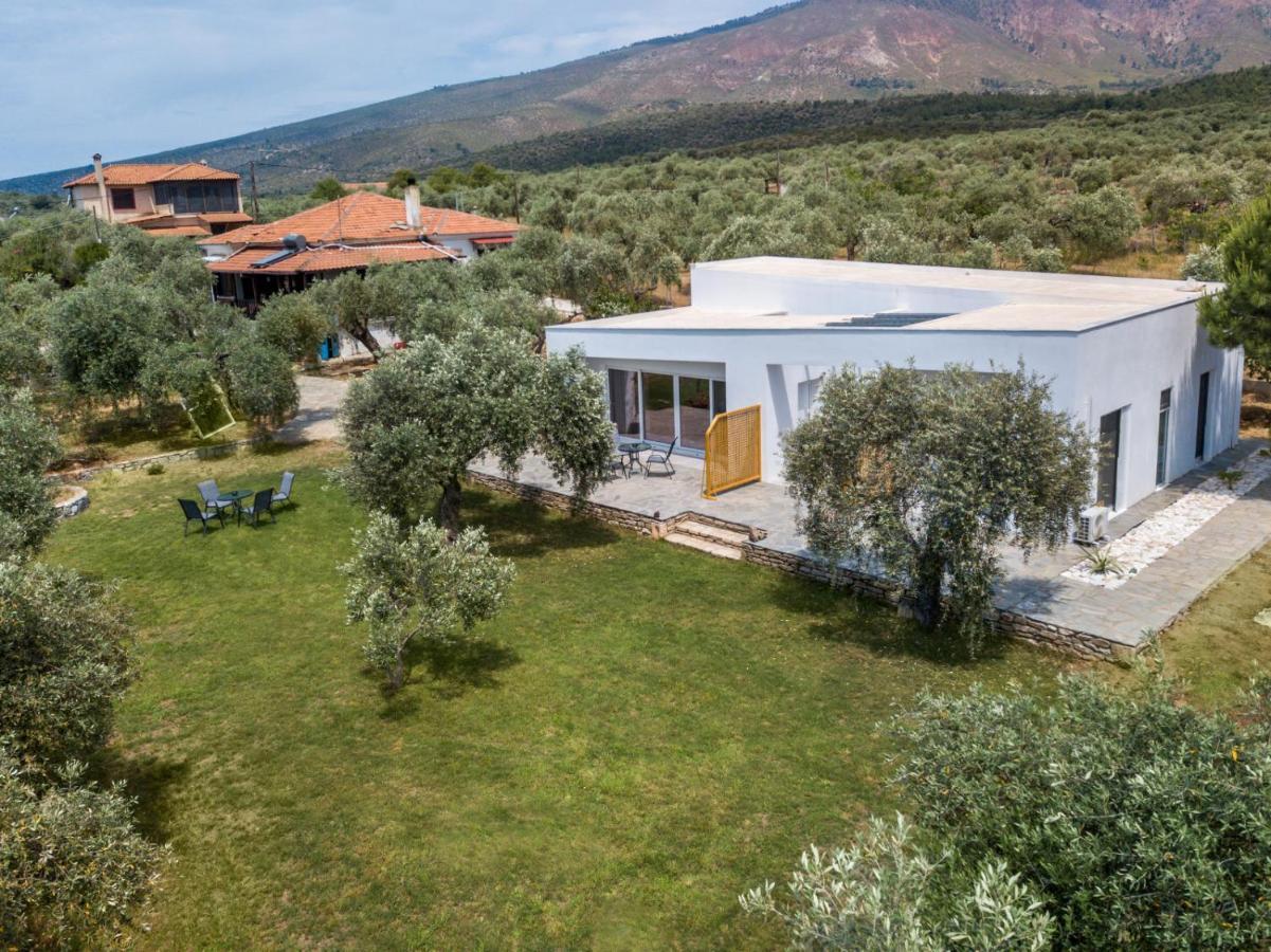Avgoustidis Apartments Limenaria  Extérieur photo